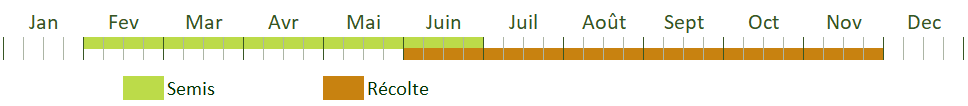 Calendrier de culture